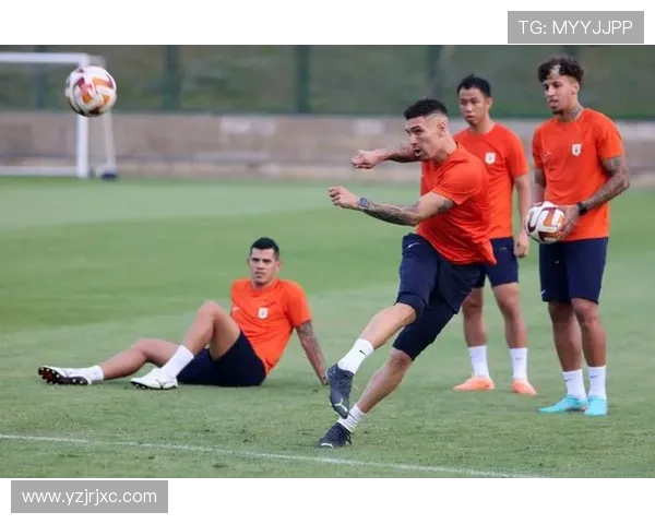 南京足球队与成都足球队赛后分析实力对比与表现总结